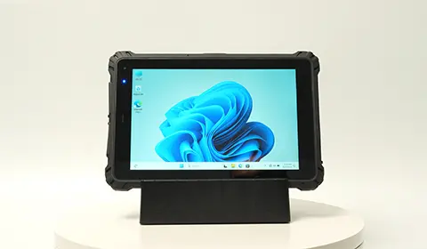 展示